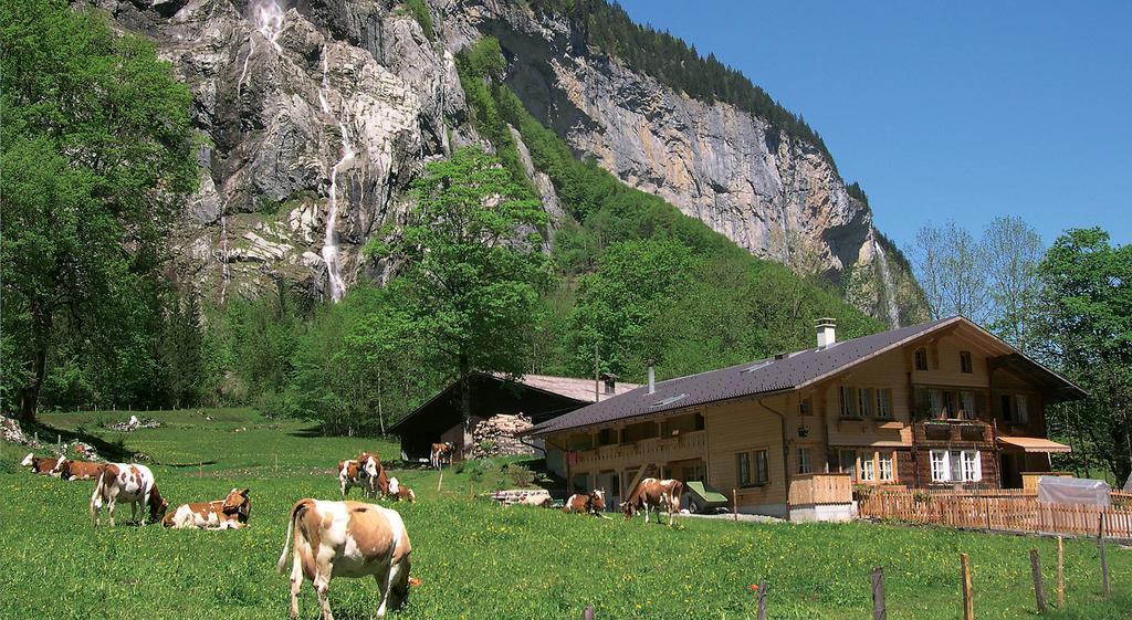 Camping Jungfrau Лаутербруннен Экстерьер фото